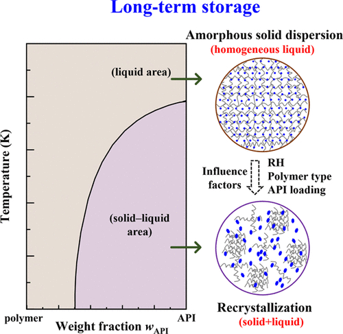 Thermodynamic Mechanism of Physical Stability of Amorphous Pharmaceutical Formulations