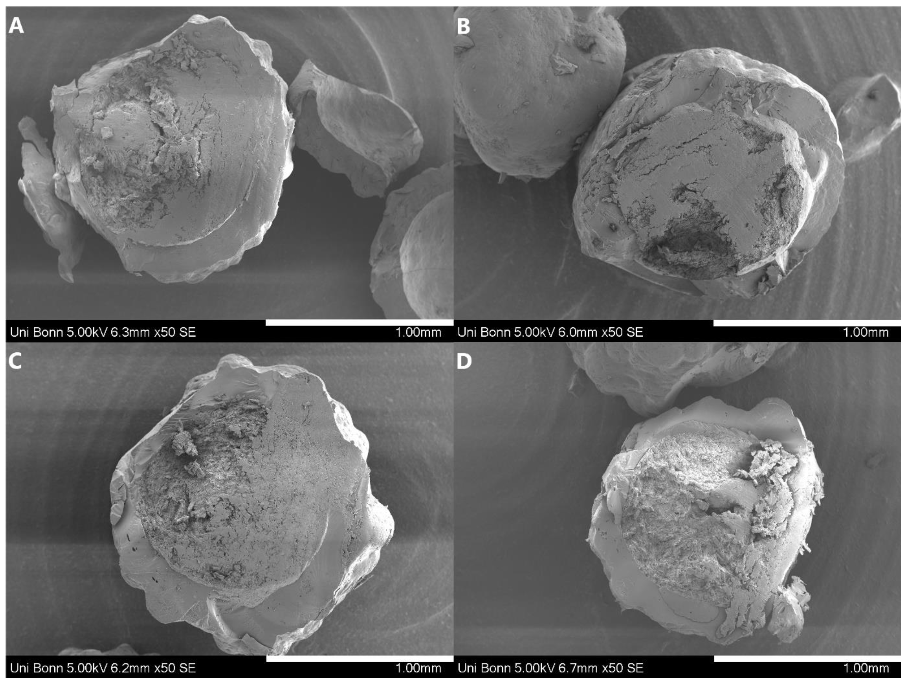 Amorphous Solid Dispersions Layered onto Pellets—An Alternative to Spray Drying?