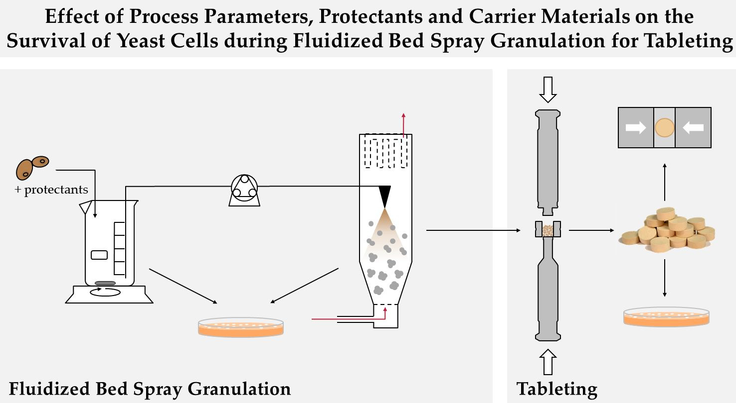 Effect of Process Parameters, Protectants and Carrier Materials on the Survival of Yeast Cells during Fluidized Bed Granulation for Tableting
