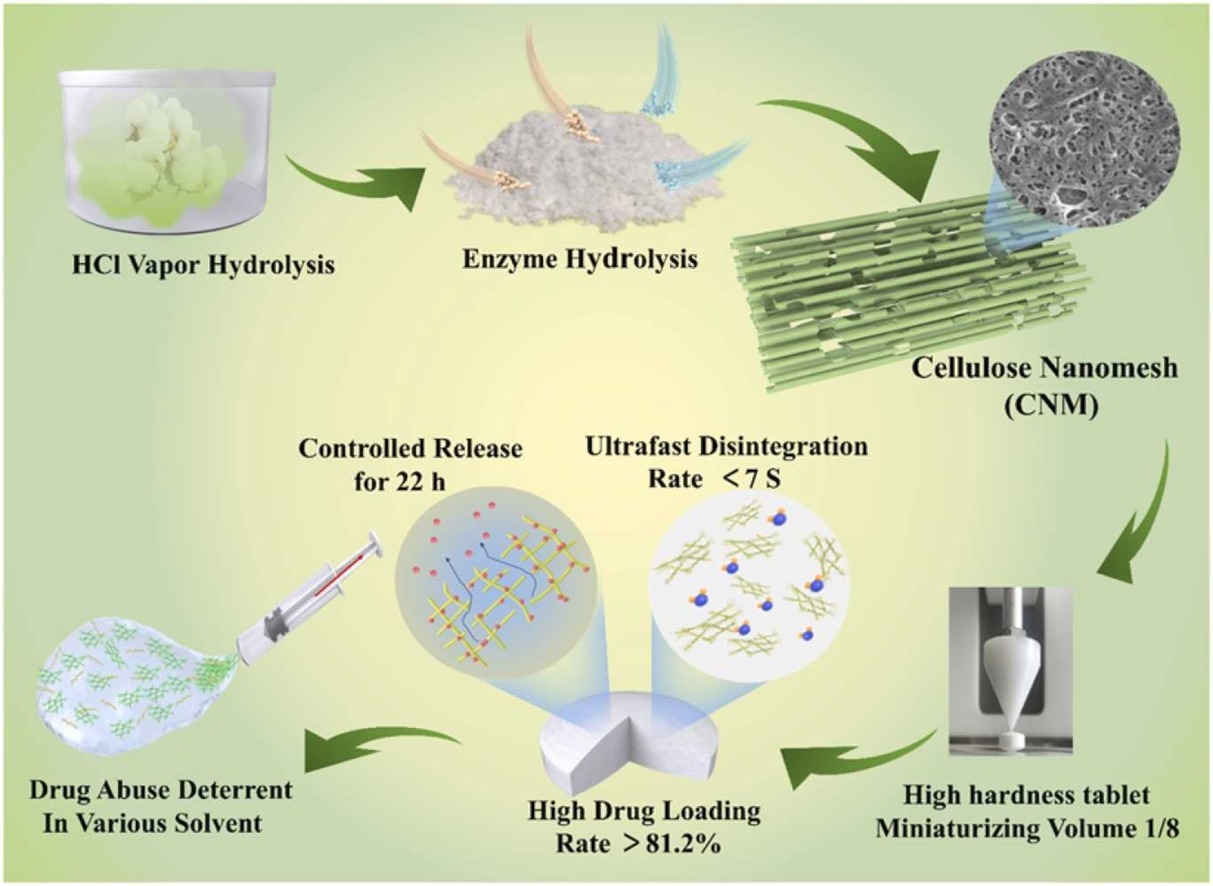 High-performance nanomesh-structured cellulose as a versatile pharmaceutical excipient