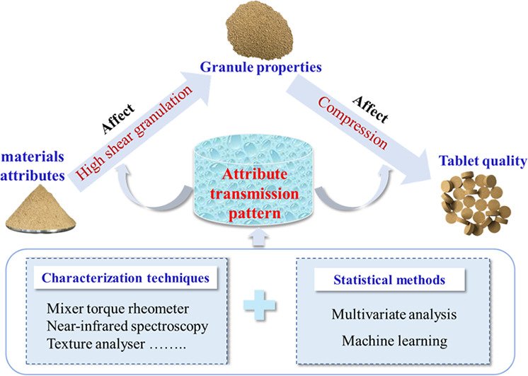 Technological advances and challenges for exploring attribute transmission in tablet development by high shear wet granulation