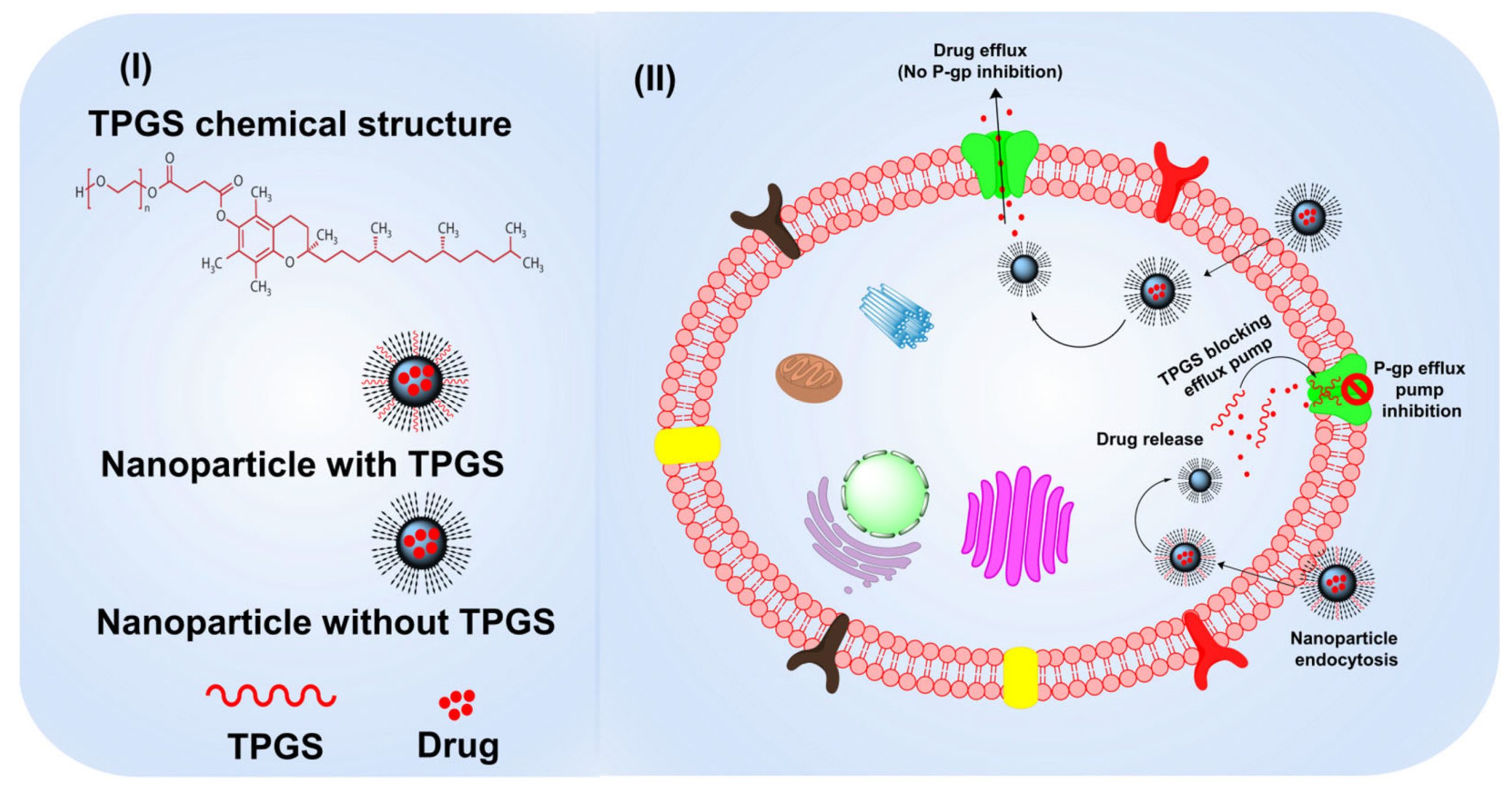 Vitamin E TPGS-Based Nanomedicine, Nanotheranostics, and Targeted Drug Delivery Past, Present, and Future
