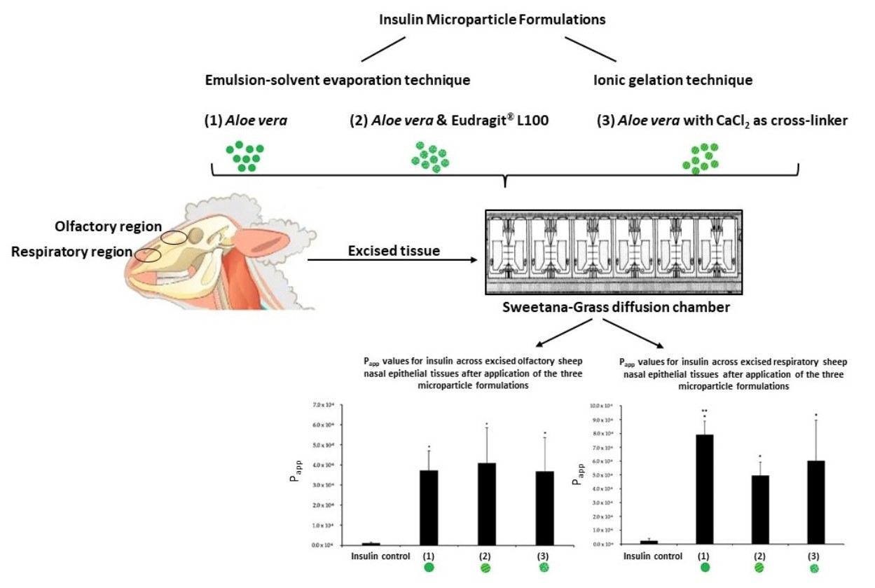 Intranasal Insulin Delivery Microparticle Formulations Consisting of Aloe vera Polysaccharides for Advanced Delivery across Excised Olfactory and Respiratory Nasal Epithelial Tissues