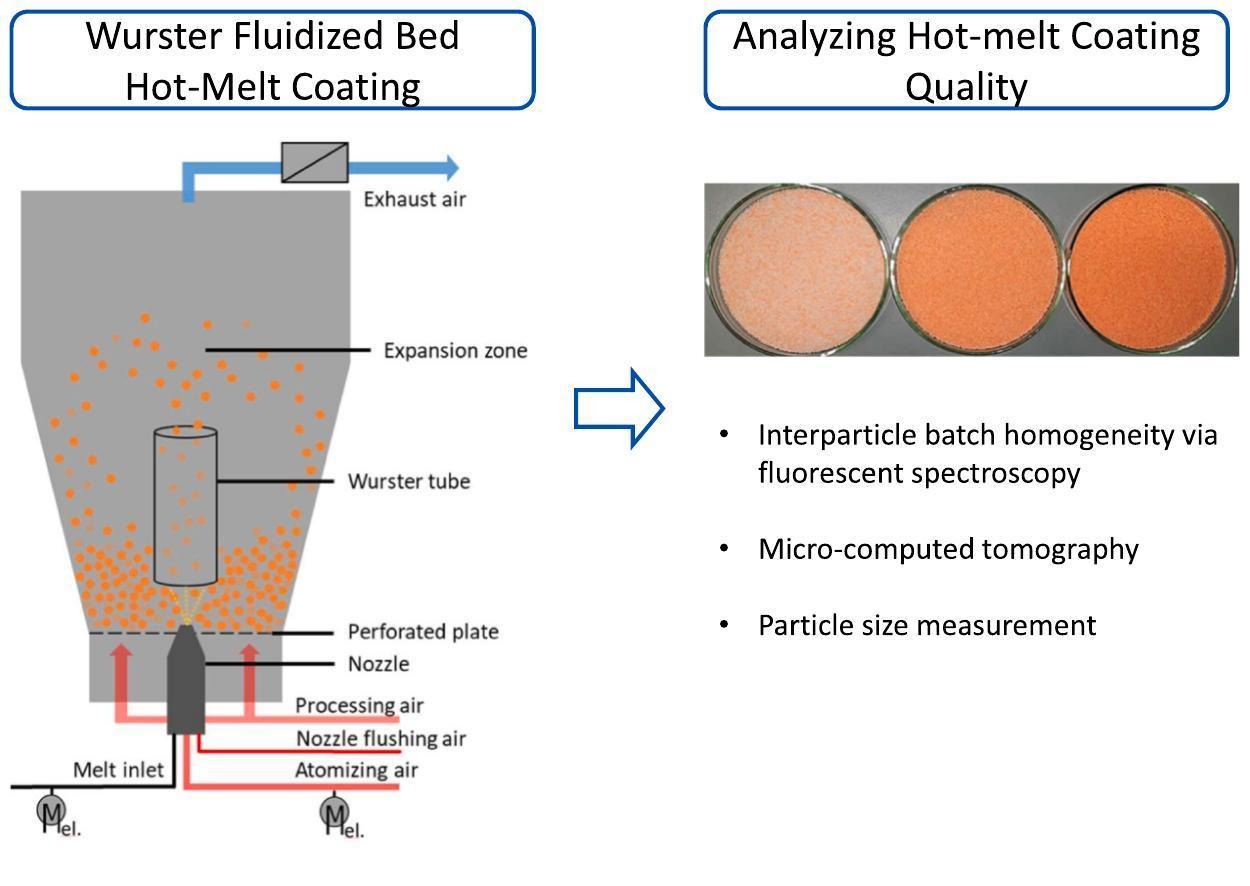 Analyzing the interparticle batch homogeneity of natural hot-melt coatings