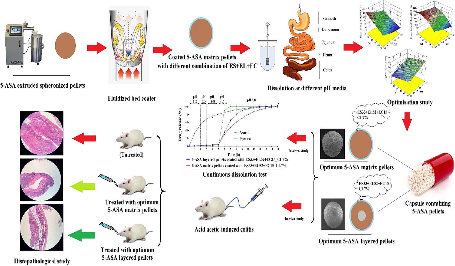 Comparison of 5-ASA layered or matrix pellets coated with a combination of ethylcellulose and Eudragits L and S in the treatment of ulcerative colitis in rats