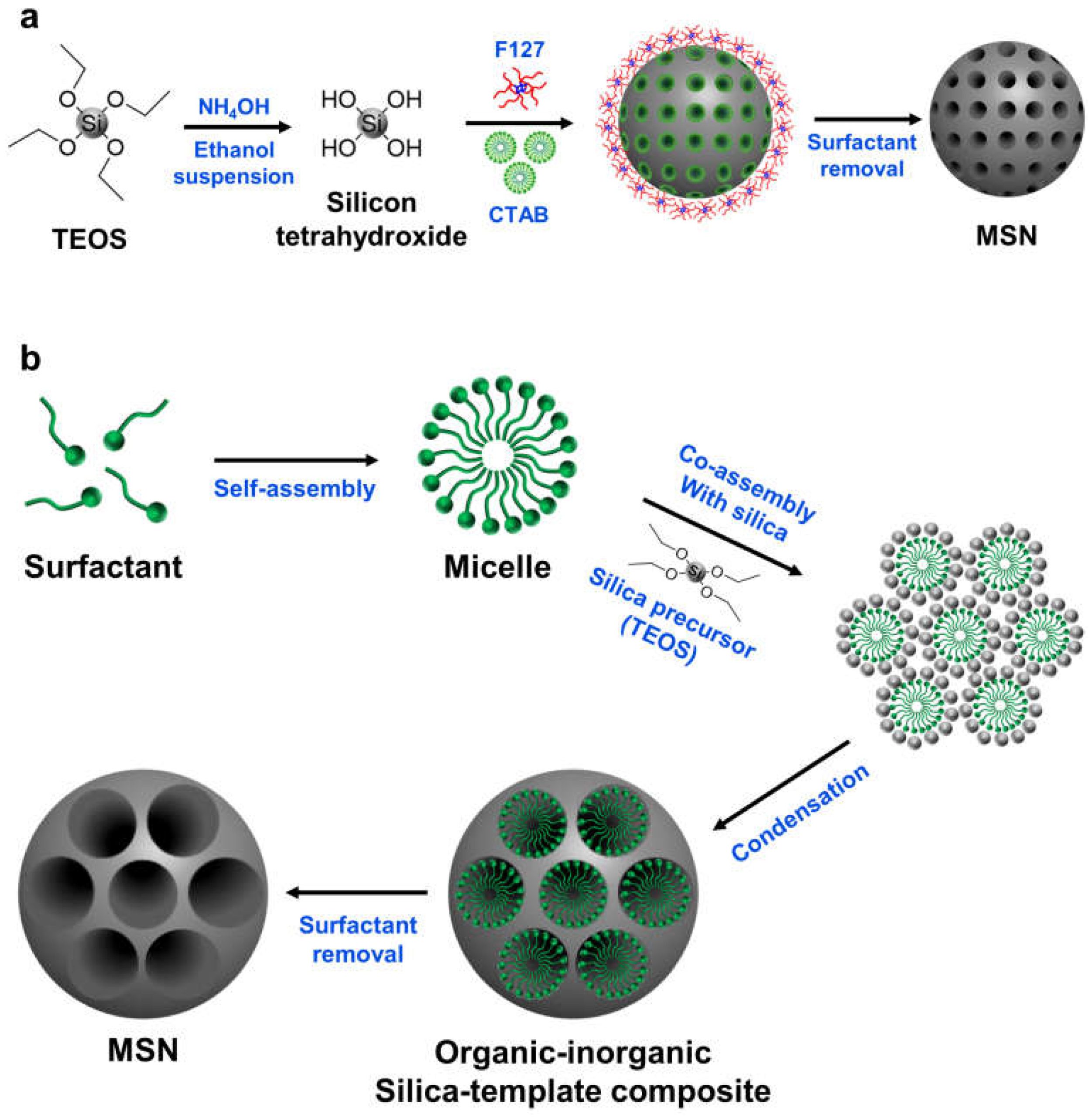 Mesoporous Silica Nanoparticles as a Gene Delivery Platform for Cancer ...