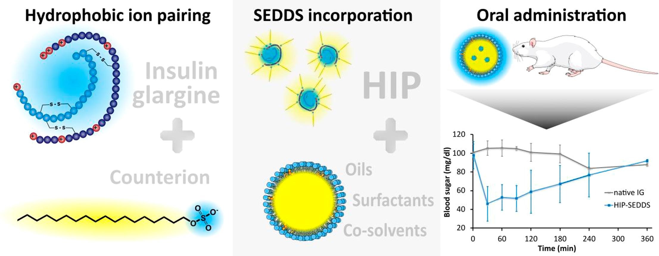 Self-emulsifying drug delivery systems (SEDDS): In vivo-proof of 