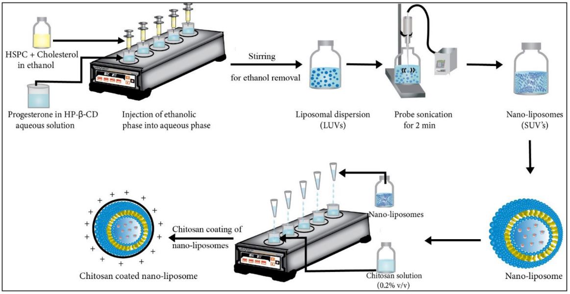 Design of experiment based formulation optimization of chitosan-coated nano-liposomes of progesterone for effective oral delivery