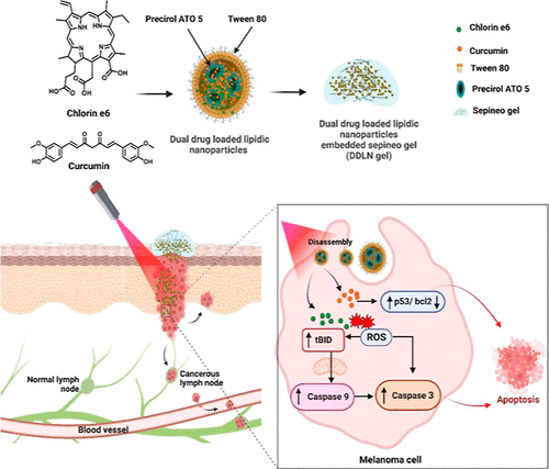 Dual-Drug-Loaded Topical Delivery of Photodynamically Active Lipid-Based Formulation for Combination Therapy of Cutaneous Melanoma