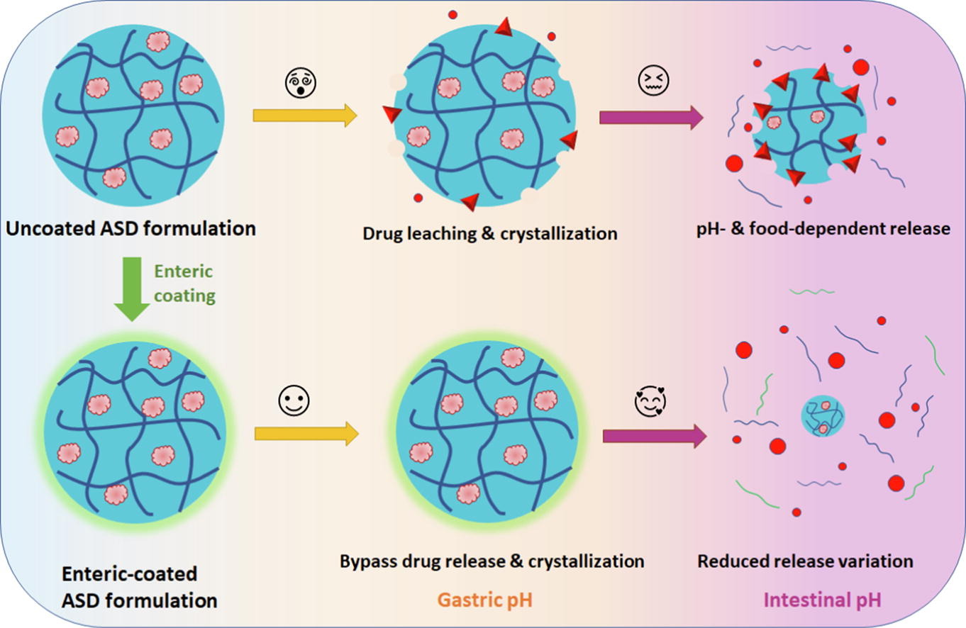 Enteric coating of tablets containing an amorphous solid dispersion of an enteric polymer and a weakly basic drug: a strategy to enhance in vitro release