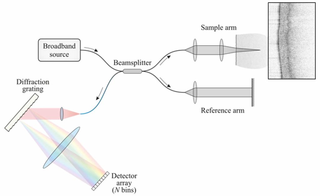 OCT is based on white light interferometry:– broad bandwidth resulting in low-coherence length – defines the axial (=depth) resolution Light is split into a reference and a probe path Optics of sample arm focus light and define lateral (=surface) resolution Interference of light reflected back from both paths Spectrometer (grating, CCD line scan camera) Depth-information is generated from interference fringes by Fourier-transformation (FFT) Measurement of a single depth scan