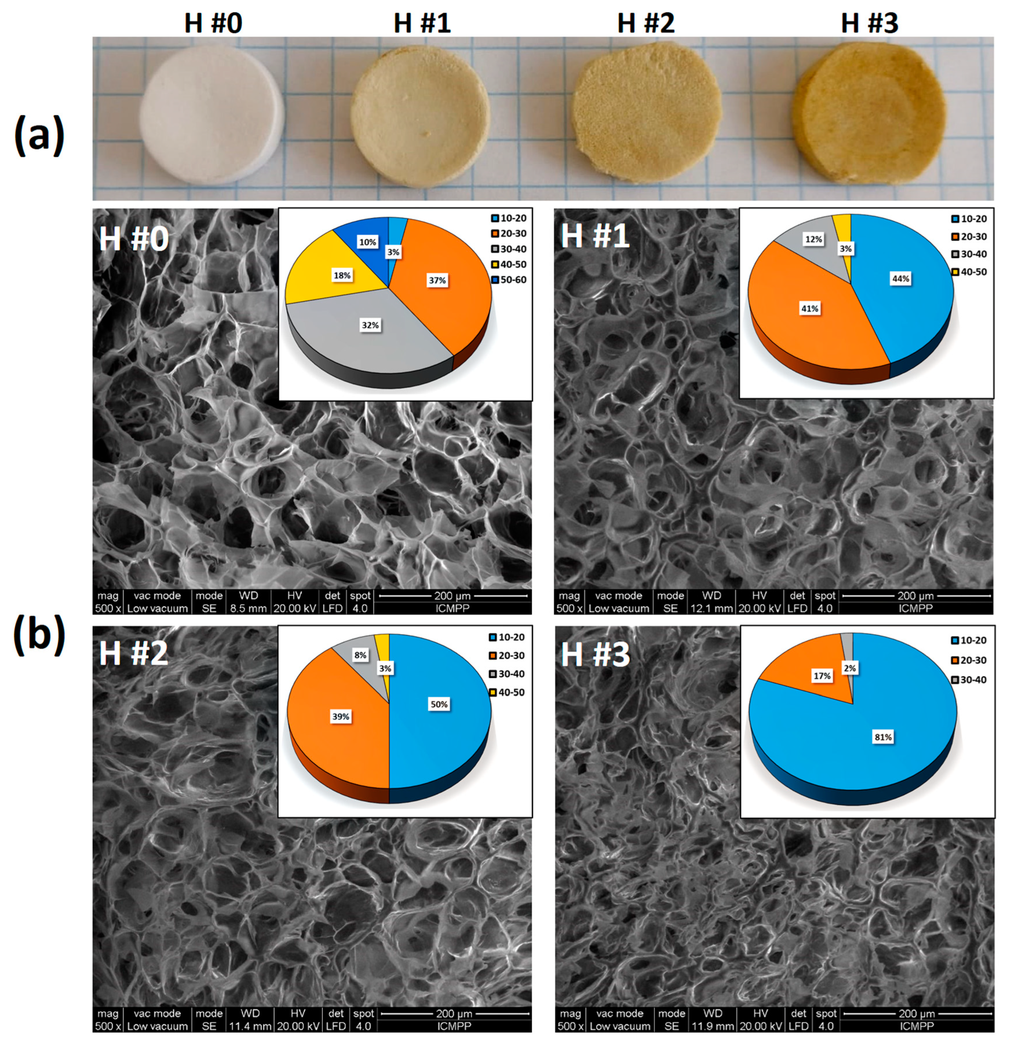 Pullulan/Poly(vinyl alcohol) Hydrogels Loaded with Calendula officinalis Extract: Design and In Vitro Evaluation for Wound Healing Applications
