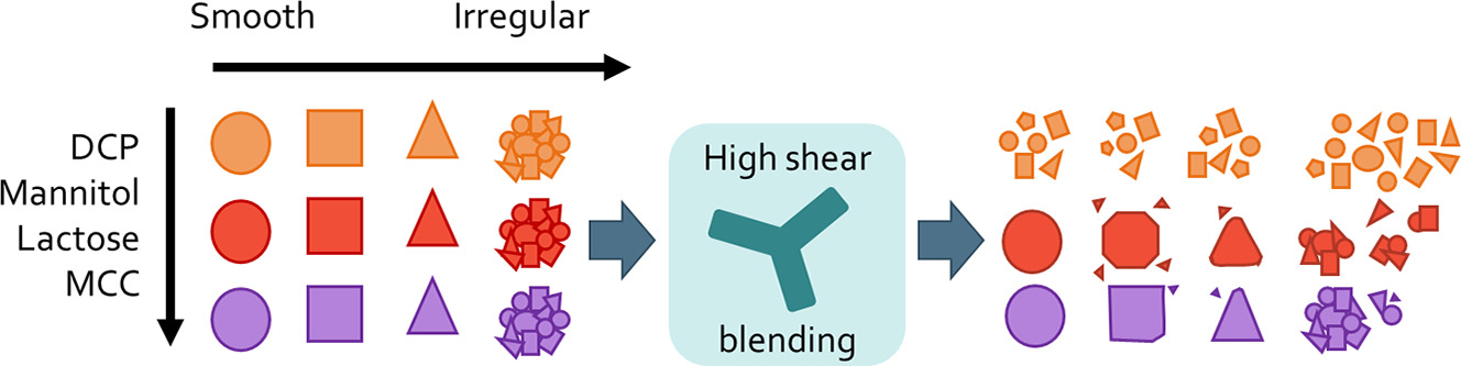 The impact of material chemistry and morphology on attrition behavior of excipients during high shear blending