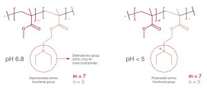 Copolymer of methyl-methacrylate diethylaminoethyl methacrylate (7:3)