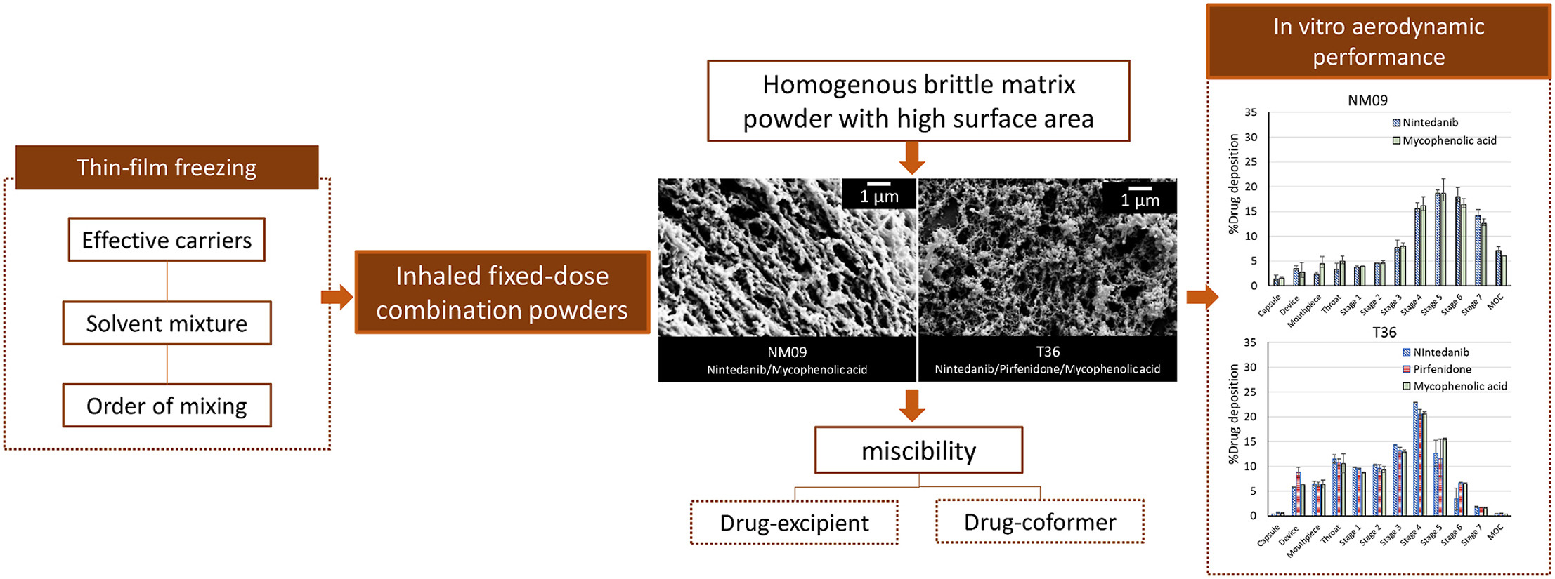 Fixed-dose dry powder for inhalation of nintedanib, pirfenidone and mycophenolic acid by thin-film freezing (TFF) technology
