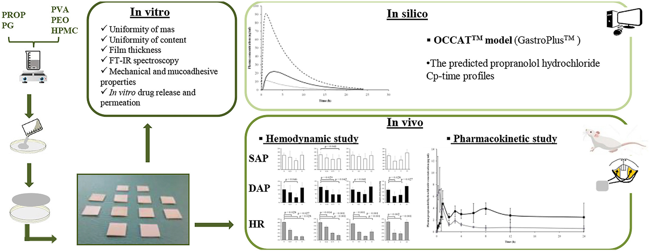Integrated in vitro – In vivo – In silico studies in the pharmaceutical development of propranolol hydrochloride mucoadhesive buccal films