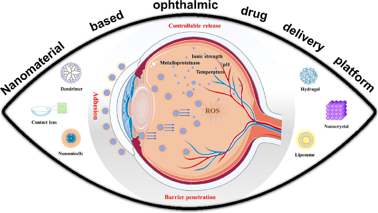 Nanomaterial-based ophthalmic drug delivery