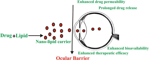 Breaking the ocular barrier through nano-lipid carriers to treat intraocular diseases