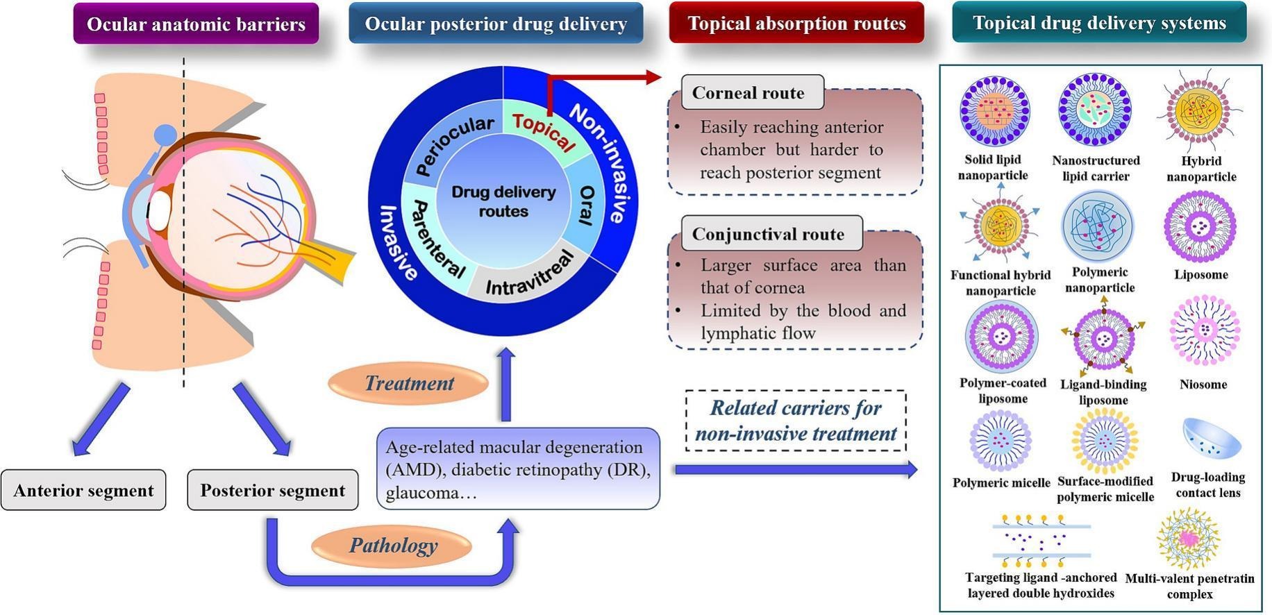 Challenges and strategies for ocular posterior diseases therapy via non-invasive advanced drug delivery