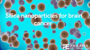 Silica nanoparticles for brain cancer