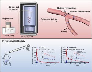 Supercritical antisolvent-fluidized bed for the preparation of dry powder inhaler for pulmonary delivery of nanomedicine
