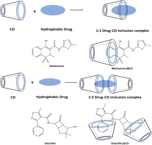Cyclodextrin: A prospective nanocarrier for the delivery of antibacterial agents against bacteria that are resistant to antibiotics