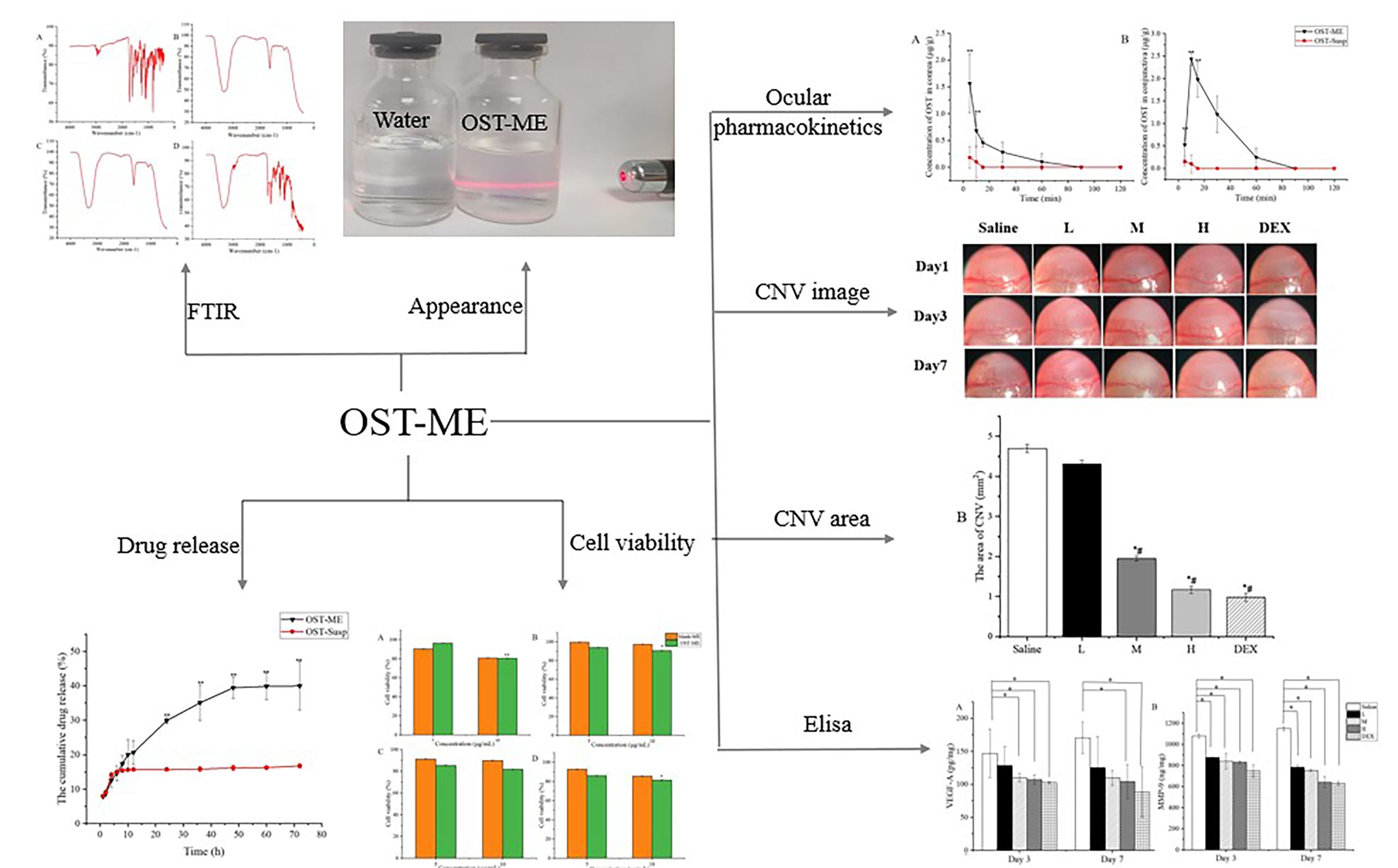 Development of Osthole-Loaded Microemulsions as a Prospective Ocular Delivery System for the Treatment of Corneal Neovascularization In Vitro and In Vivo Assessments