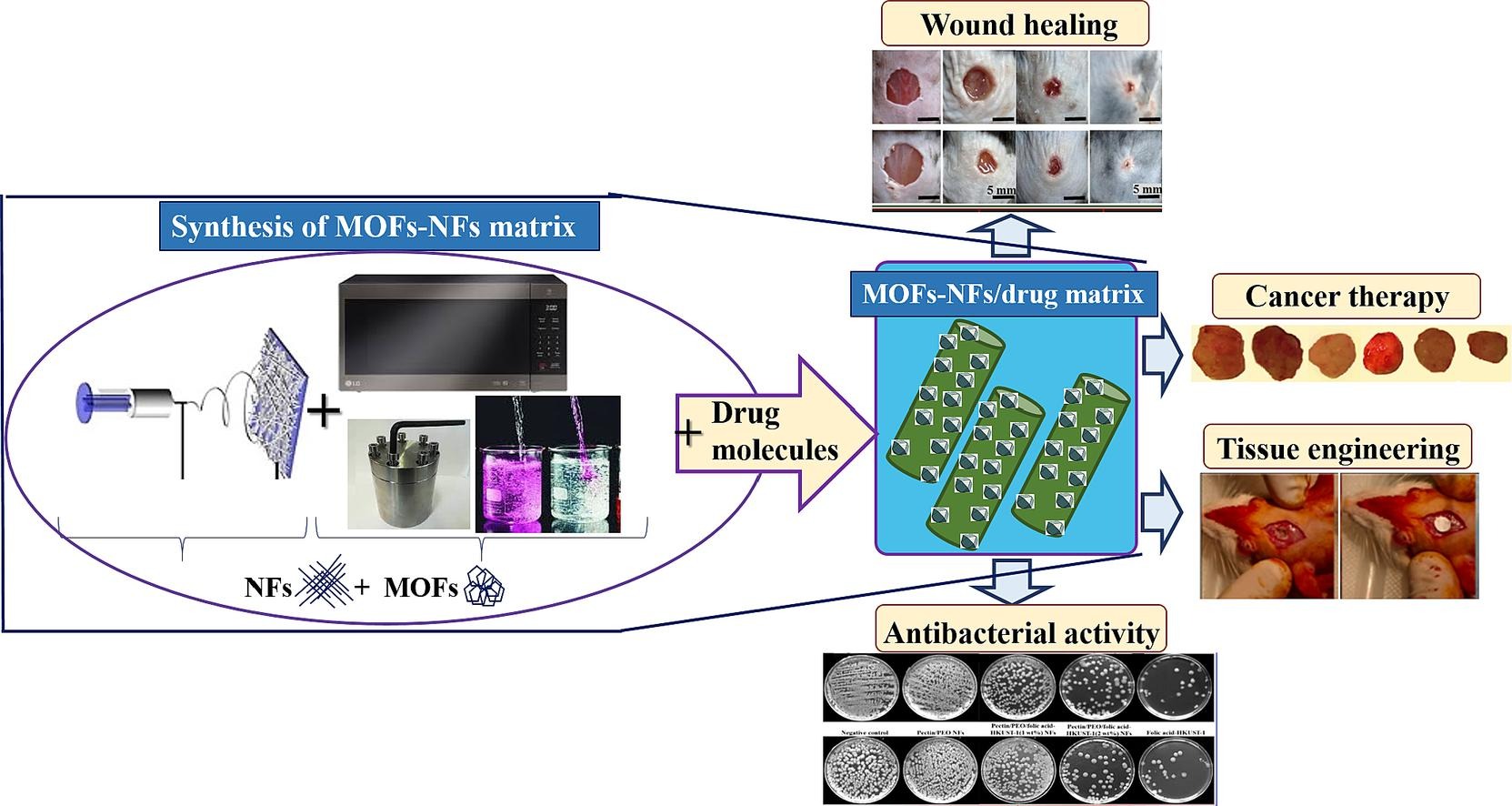 Electrospun metal–organic frameworks-loaded nanofibrous carriers for drug delivery systems