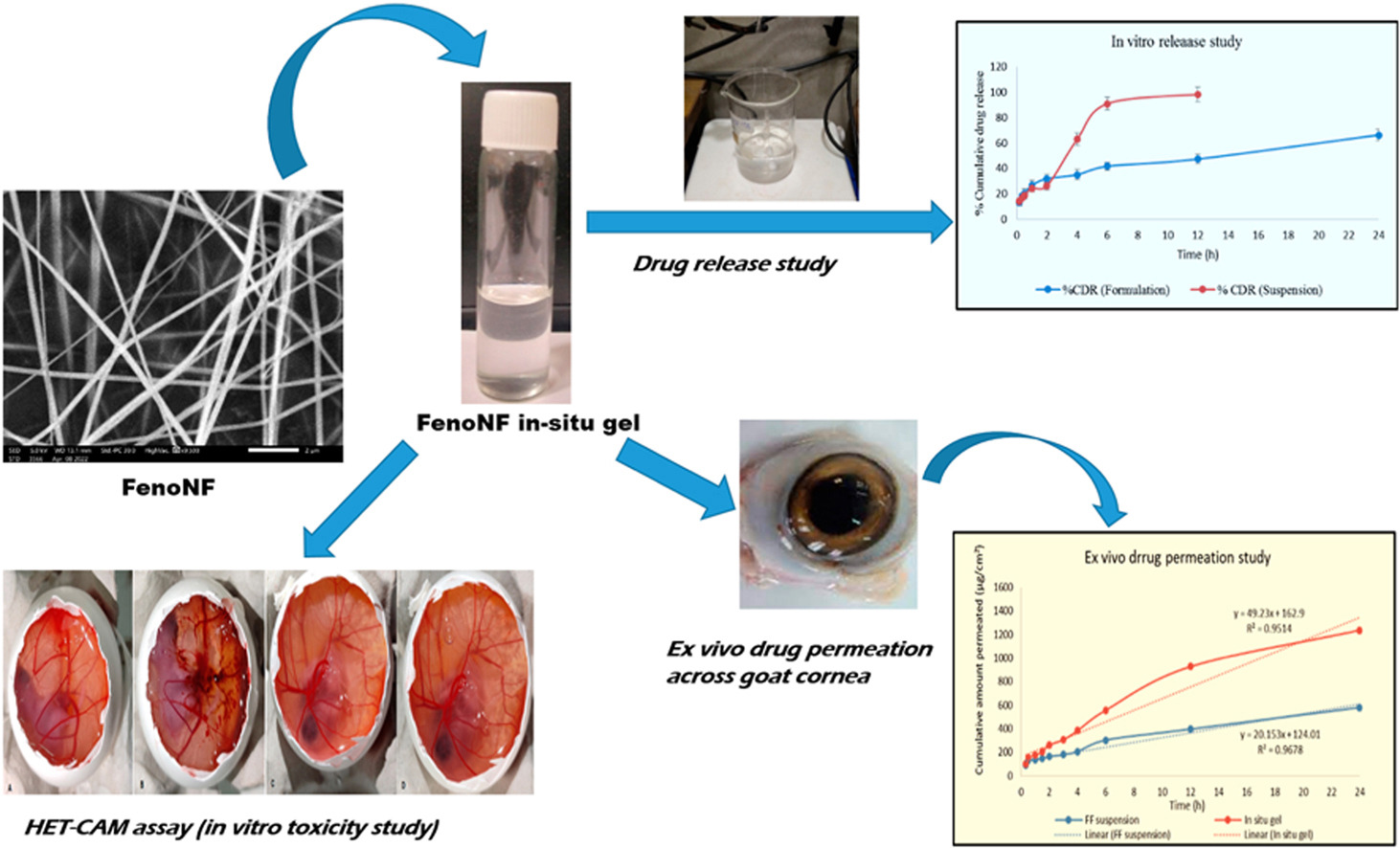 Fenofibrate loaded nanofibers based thermo-responsive gel for ocular delivery: Formulation development, characterization and in vitro toxicity study