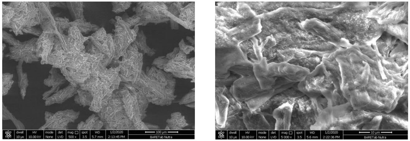 Figure 2 Scanning electron microscopic images of BARETab® Nutra at different magnifications