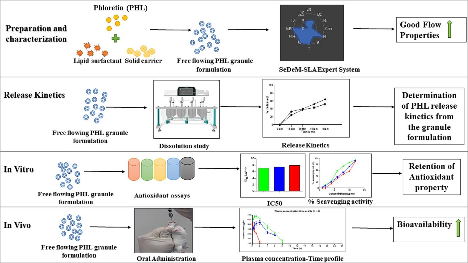 Formulation, characterization, pharmacokinetics and antioxidant activity of phloretin oral granules