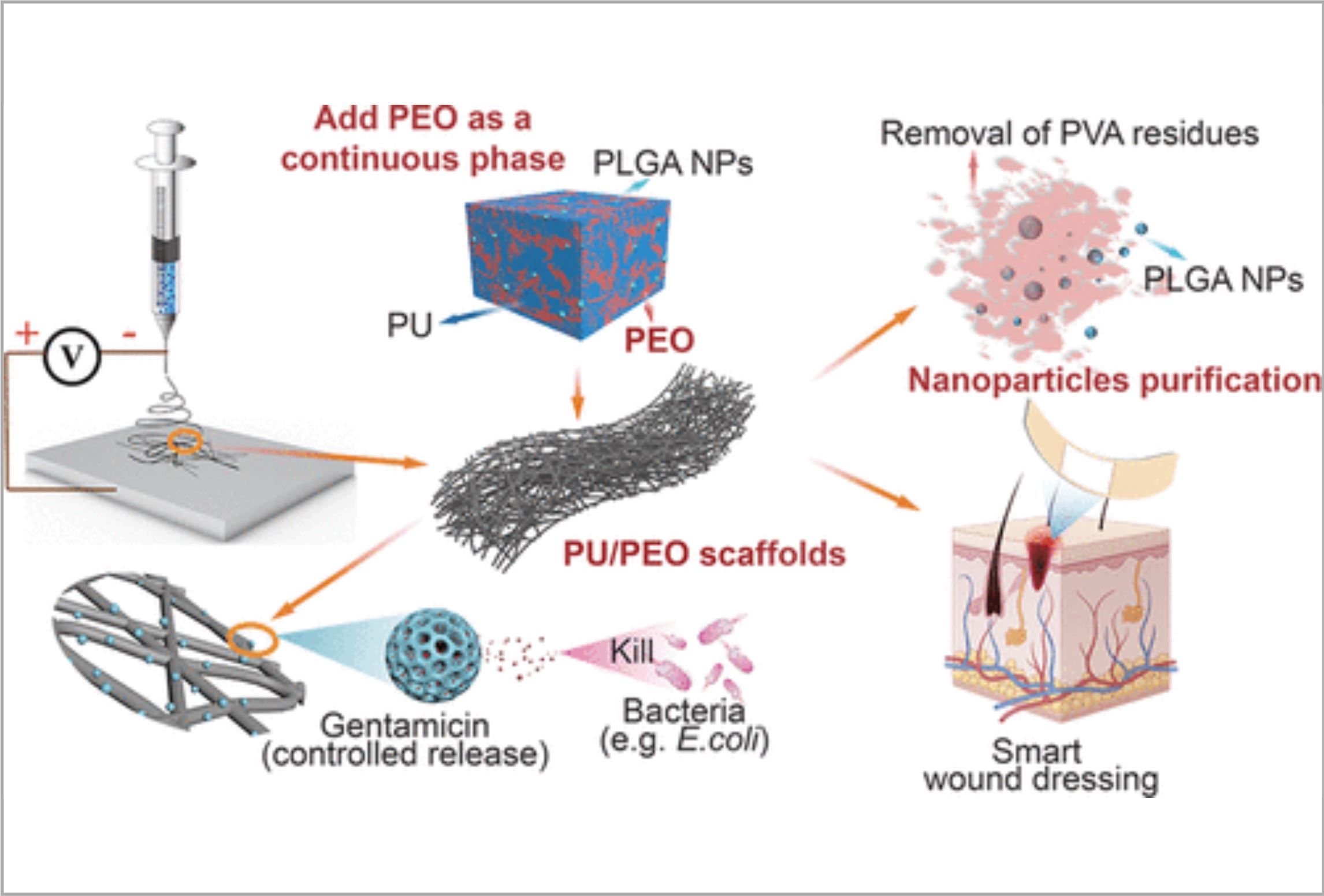 Incorporation of Gentamicin-Encapsulated Poly(lactic-co-glycolic acid) Nanoparticles into Polyurethane/Poly(ethylene oxide) Nanofiber Scaffolds for Biomedical Applications