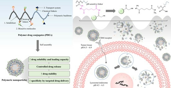 Innovative Design of Targeted Nanoparticles: Polymer–Drug Conjugates for Enhanced Cancer Therapy