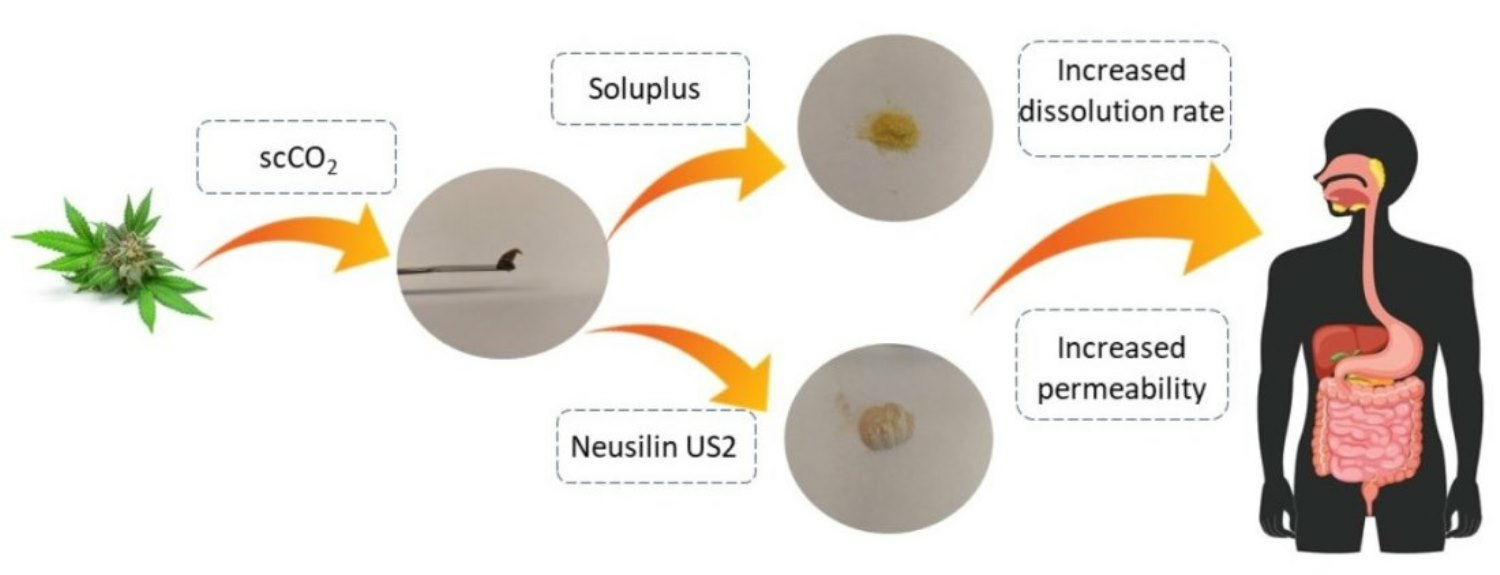 Co-Dispersion Delivery Systems with Solubilizing Carriers Improving the Solubility and Permeability of Cannabinoids (Cannabidiol, Cannabidiolic Acid, and Cannabichromene) from Cannabis sativa (Henola Variety) Inflorescences