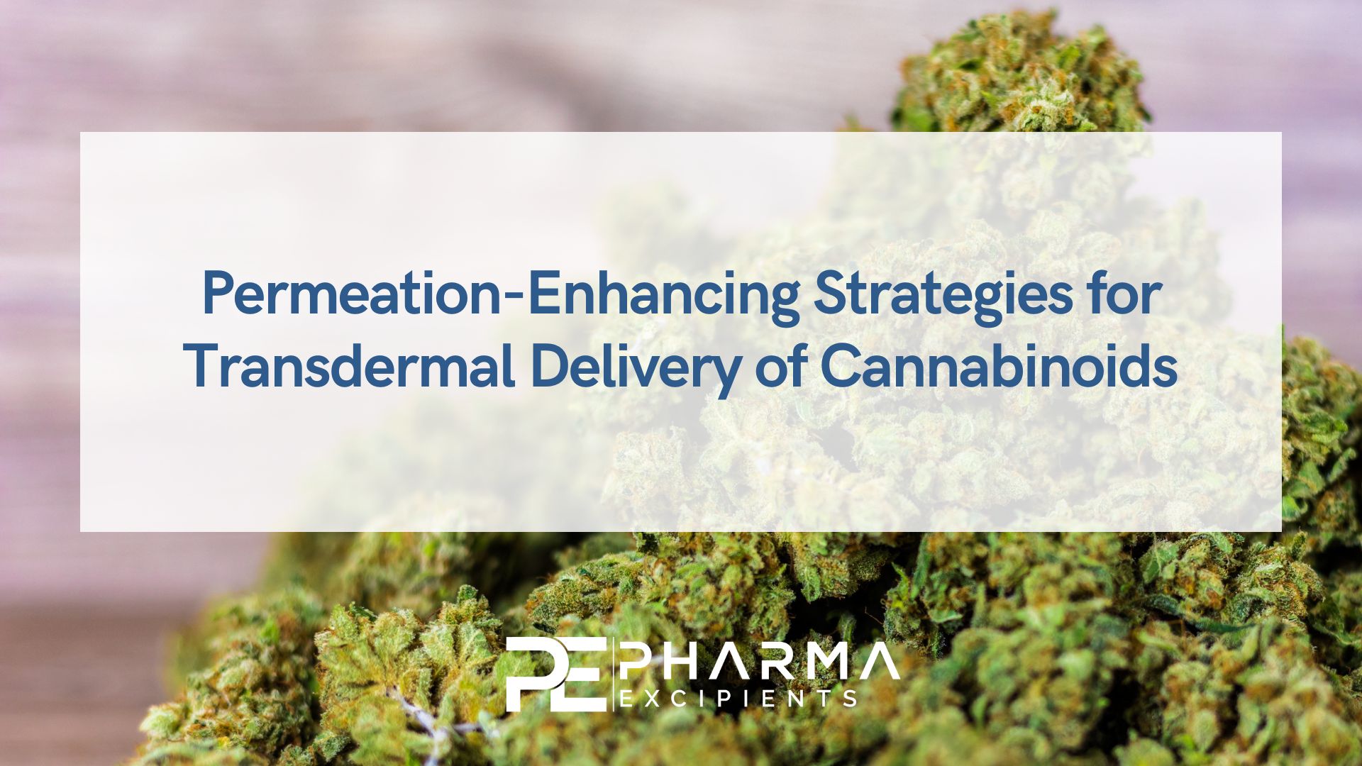 Permeation-Enhancing Strategies for Transdermal Delivery of Cannabinoids