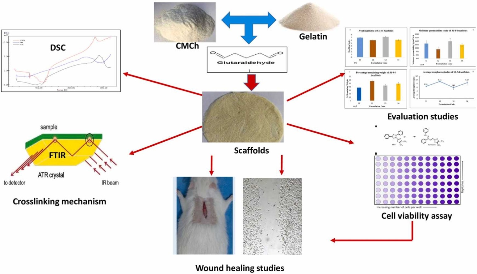 Physicochemical and in vivo evaluation of crosslinked carboxymethyl chitosan-gelatin scaffolds for wound healing application