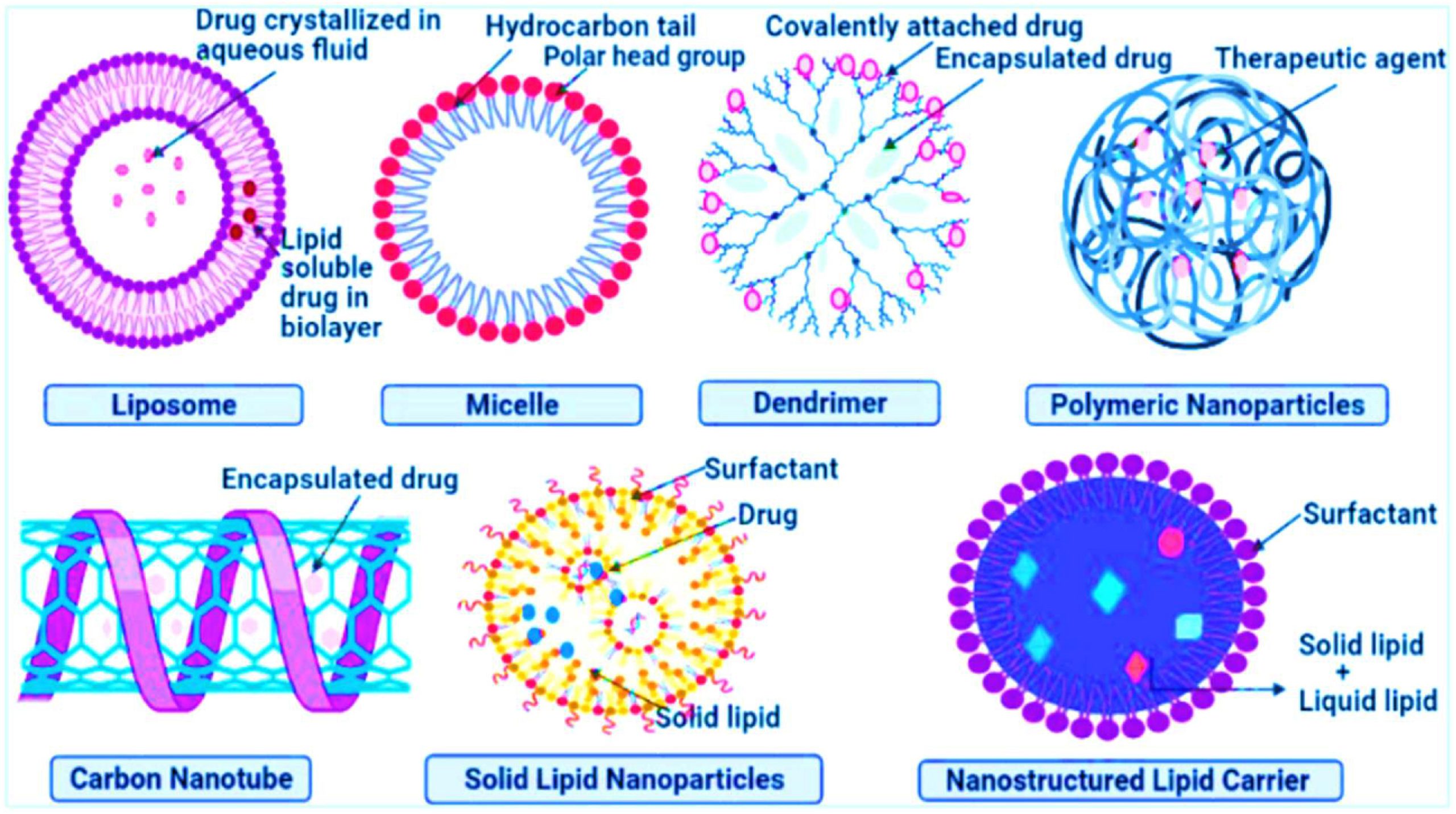 Review of the efficacy of nanoparticle-based drug delivery systems for cancer treatment