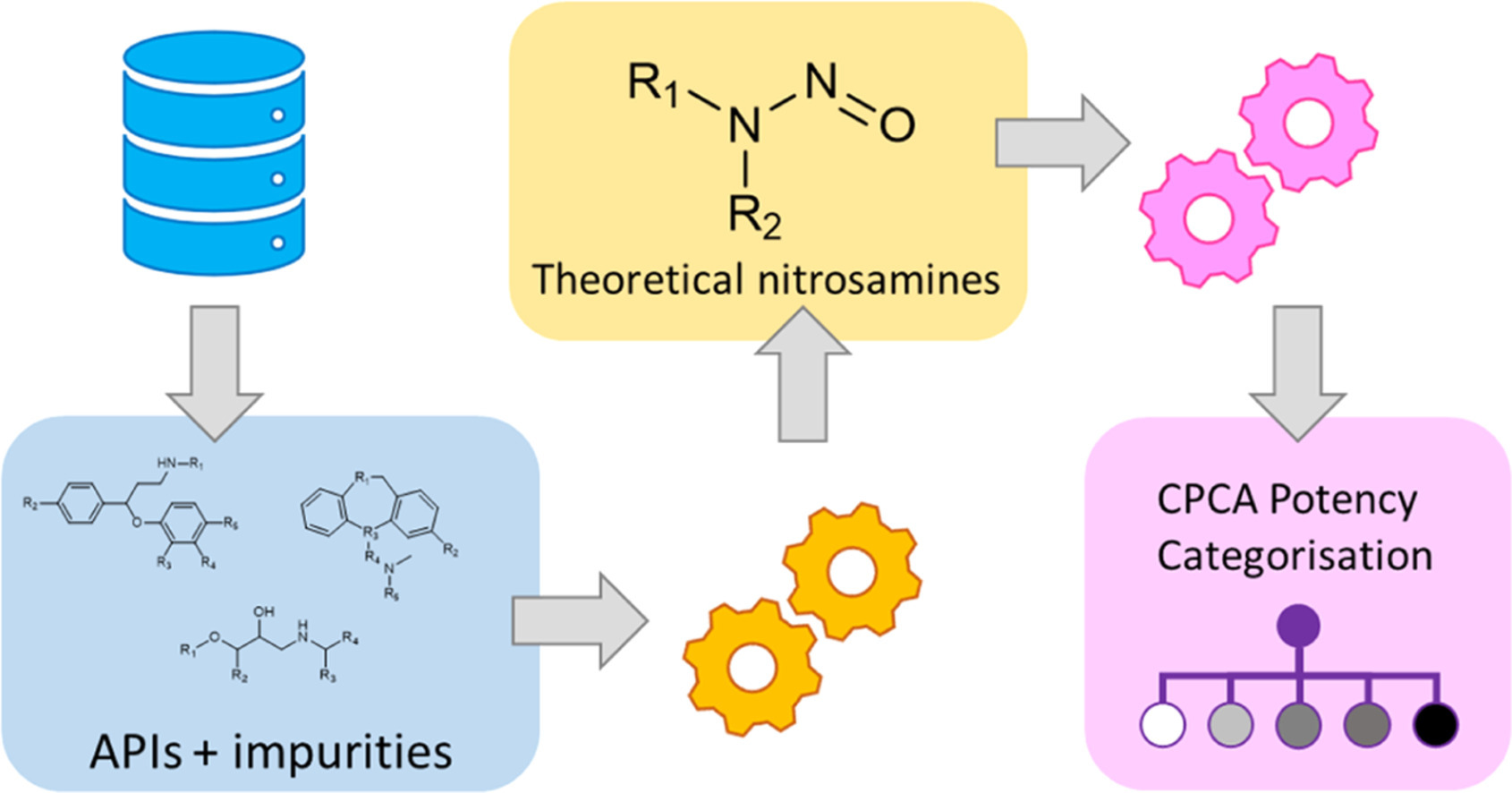 Revisiting the Landscape of Potential Small and Drug Substance Related Nitrosamines in Pharmaceuticals