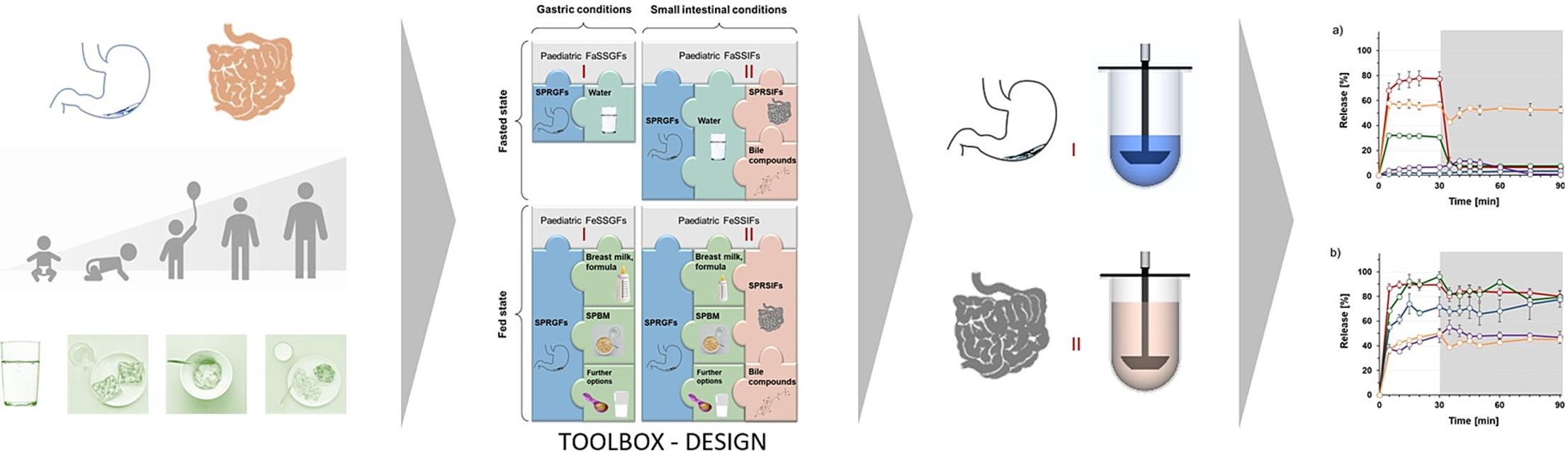 A toolbox for mimicking gastrointestinal conditions in children
