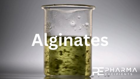 Alginates-Video-Titelbild