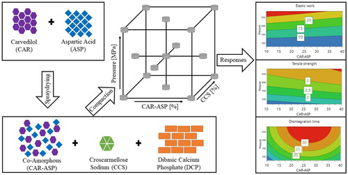 Design of experiments approach on the compaction properties of co-amorphous tablets