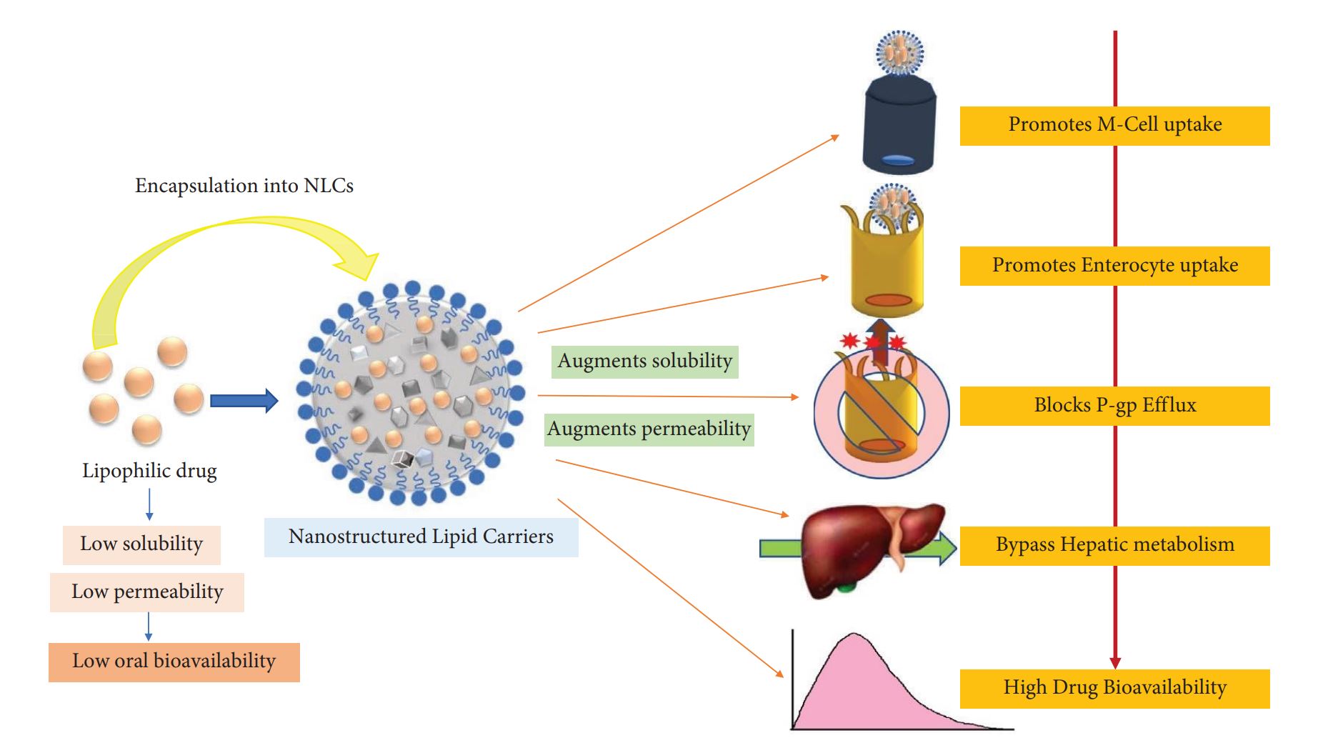 Figure 1: Advantages of NLC-based oral drug delivery.
