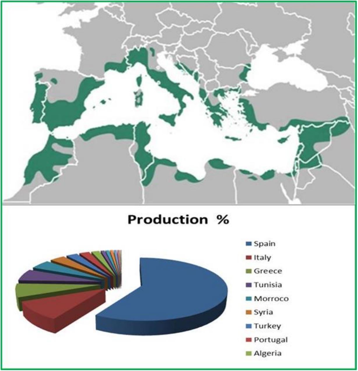 Figure 1. Olive production in the Mediterranean basin (IOC, 2022)