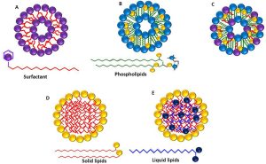 Lipid-nanostructures-for-targeting-brain-cancer-scaled