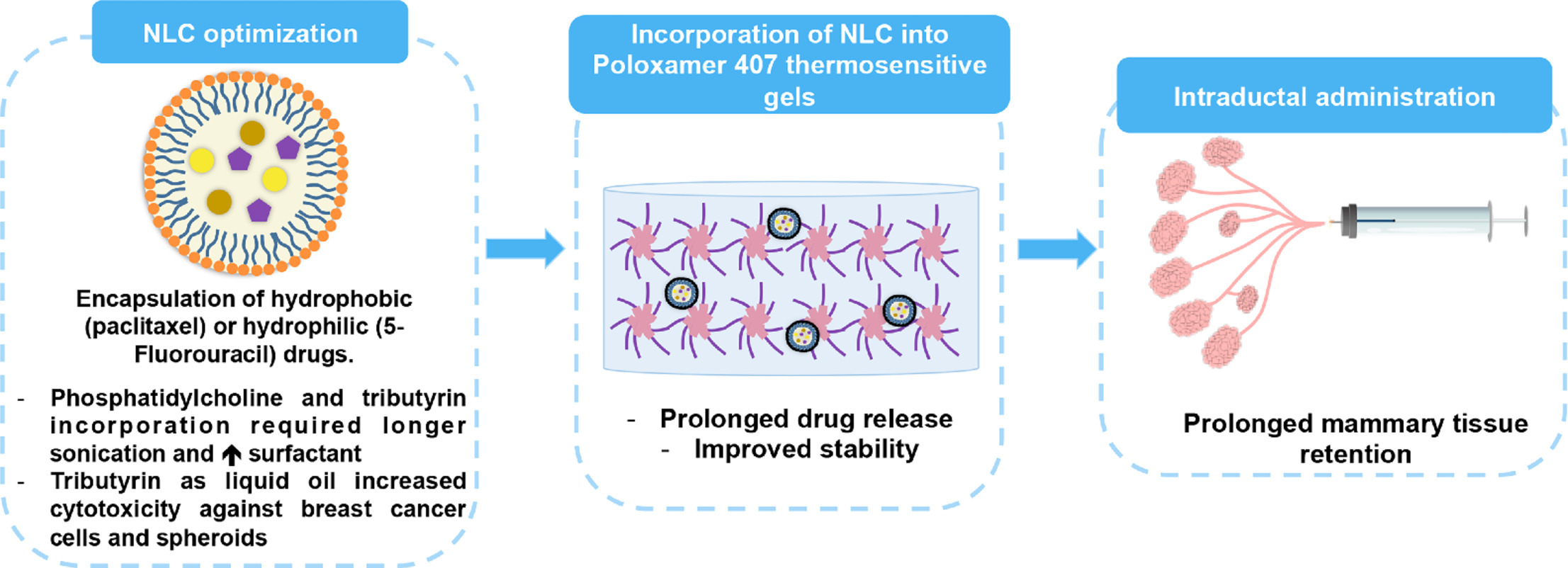 Nanostructured lipid carriers loaded into in situ gels for breast cancer local treatment