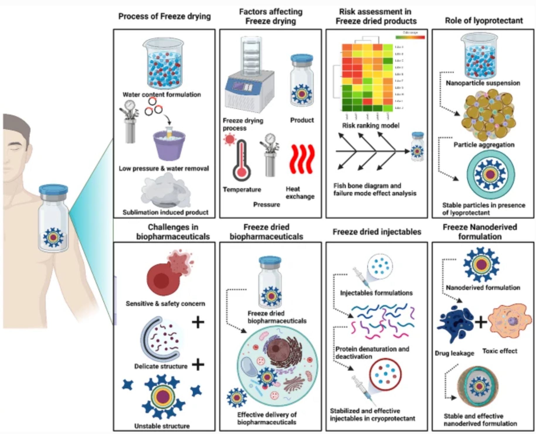 Process development and quality attributes for the freeze-drying process in pharmaceuticals, biopharmaceuticals and nanomedicine delivery: a state-of-the-art review
