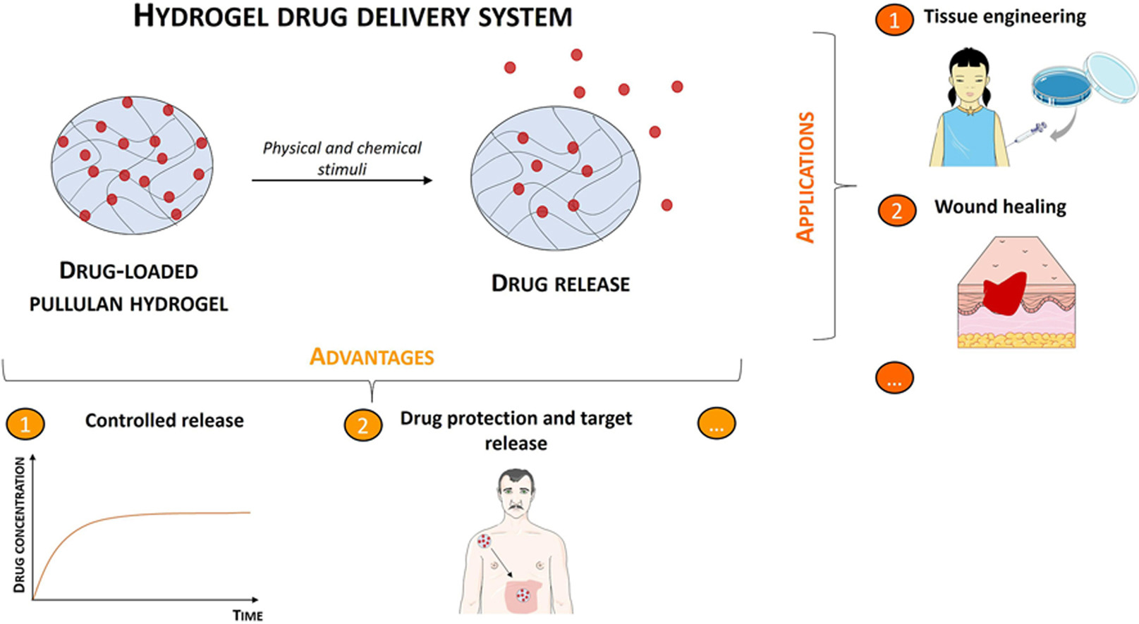 Pullulan hydrogels as drug release platforms in biomedicine