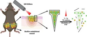 Triggered release of antimicrobial peptide from microneedle patches for treatment of wound biofilms