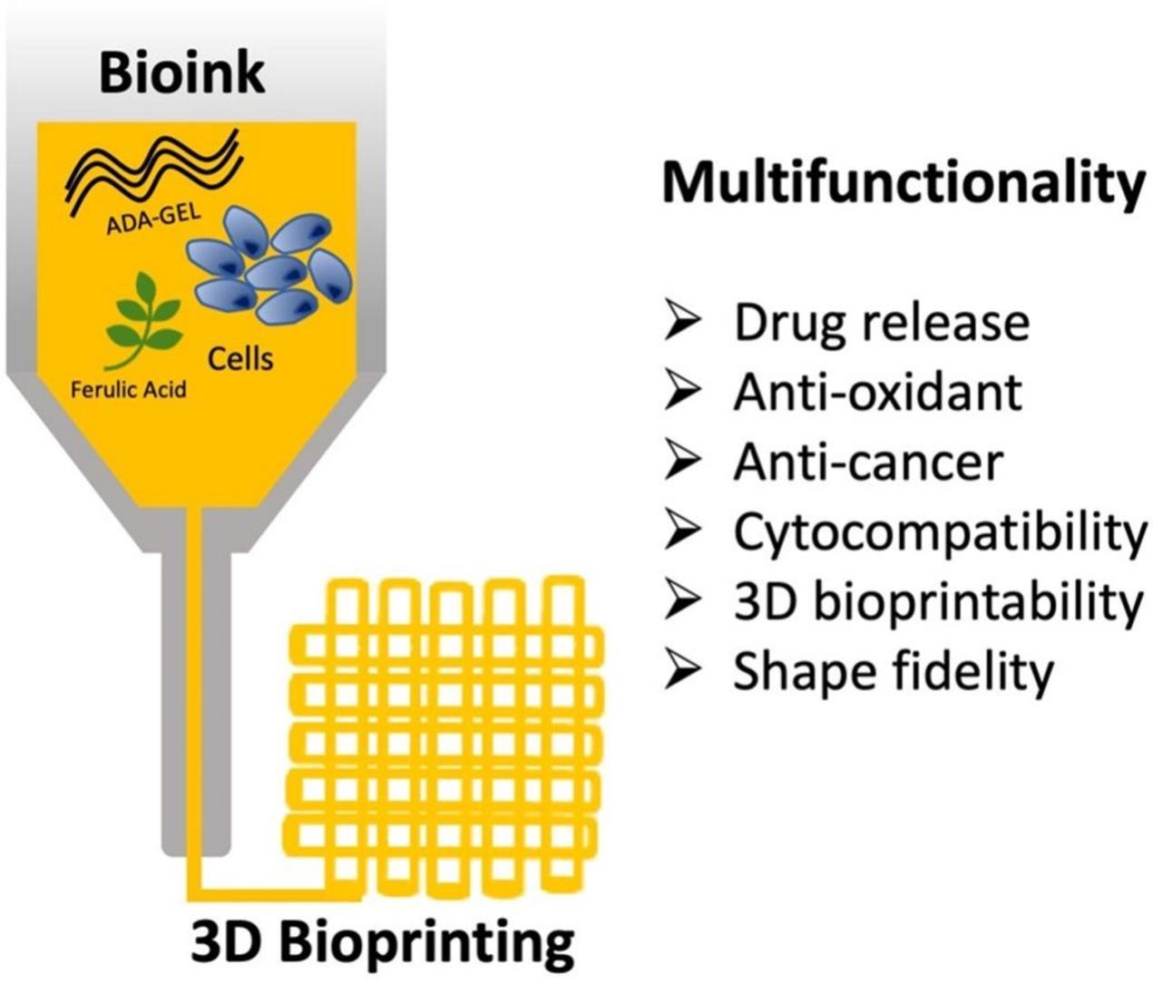 3D bioprinting of multifunctional alginate dialdehyde (ADA)–gelatin (GEL) (ADA-GEL) hydrogels incorporating ferulic acid