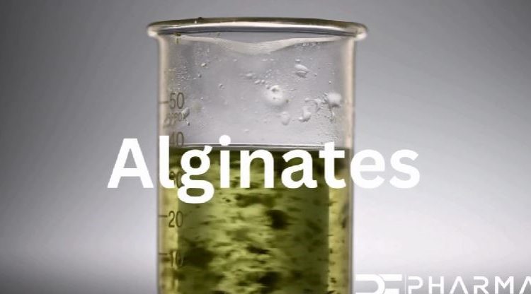 Alginates Pharmaceutical Excipients